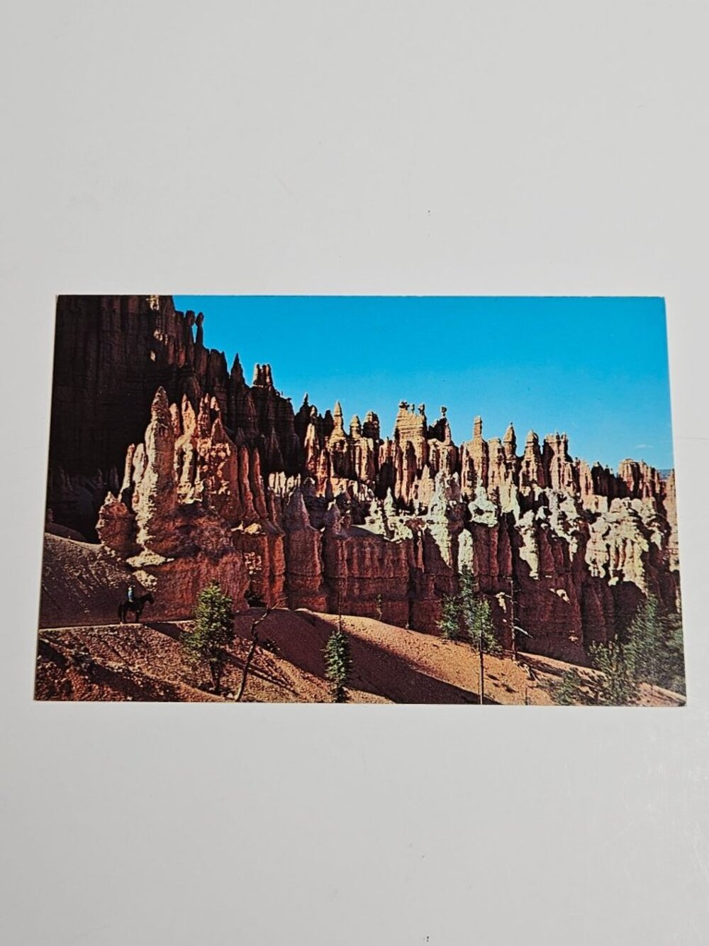 The Chessmen on the Peek-A-Boo Trail Postcard